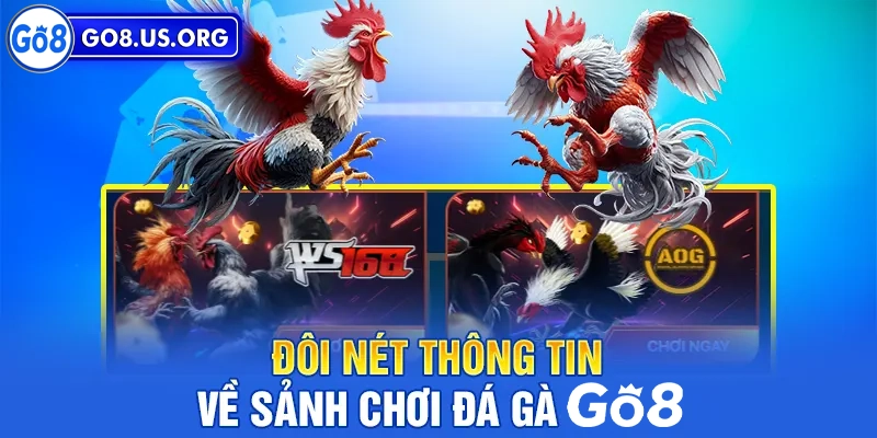 Đôi nét về đá gà Go8 sân chơi đẳng cấp